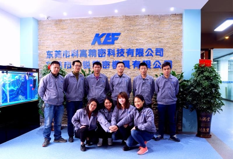 Китай Dongguan Kegao Precision Technology Co., Ltd. Профиль компании